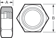 aaa316L SS Bevel Seat Hex Nuts