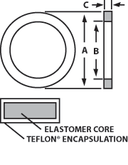 aaaViton® Black / Teflon® FEP Clear Cam-Lock Gaskets