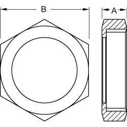 304 SS RJT Hex Nuts