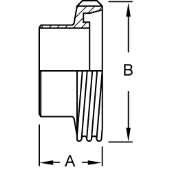 316L SS DIN Welding Males