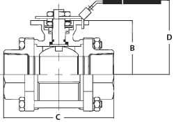 3-Piece 316L SS Industrial Ball Valves