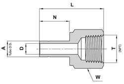 Female Adapter