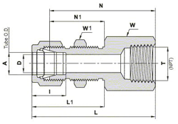 Female Bulkhead