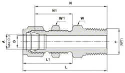 Male Bulkhead