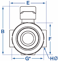 BSP w/ Viton® Seals