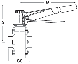 304 SS Manual Butt Weld Butterfly Valves Viton® Seat